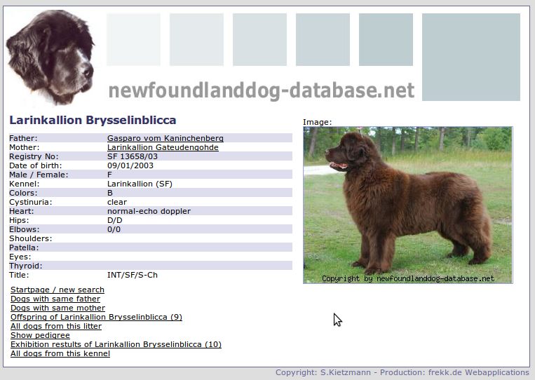Newfoundlanddog-database.net