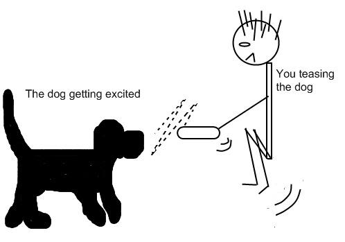 teasing the dog